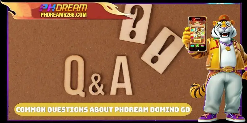 Common questions about PHDREAM Domino Go