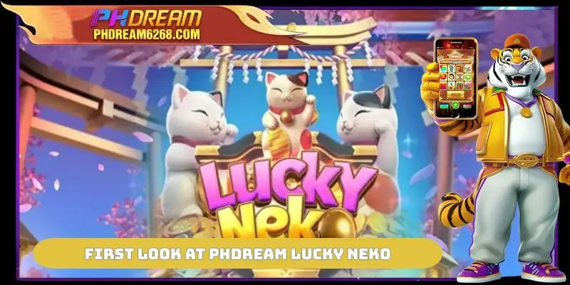 First look at PHDREAM Lucky Neko