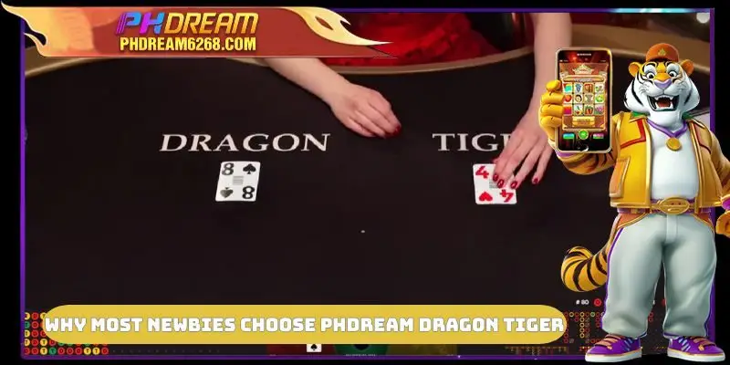 Why most newbies choose PHDREAM Dragon Tiger